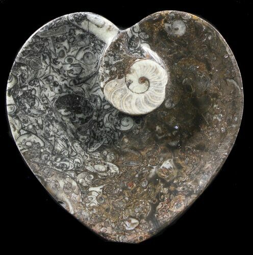 Heart Shaped Fossil Goniatite Dish #39351